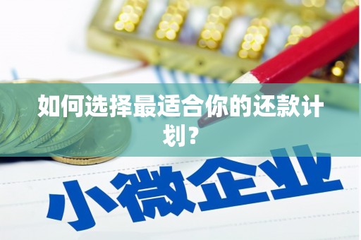 阿拉善左旗如何选择最适合你的还款计划？