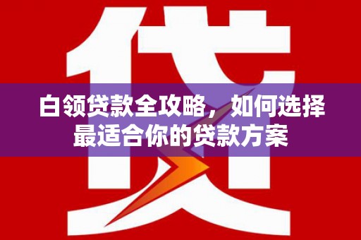阿拉善左旗白领贷款全攻略，如何选择最适合你的贷款方案