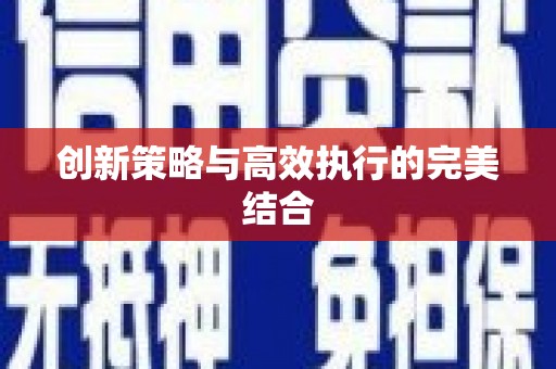 阿拉善左旗创新策略与高效执行的完美结合