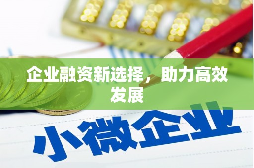 阿拉善左旗企业融资新选择，助力高效发展