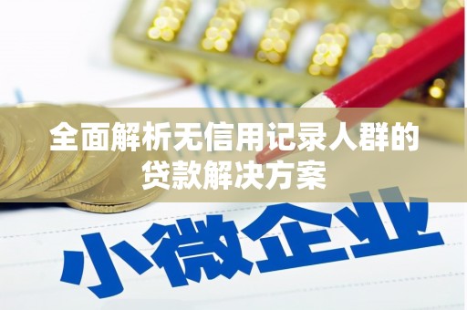 阿拉善左旗全面解析无信用记录人群的贷款解决方案