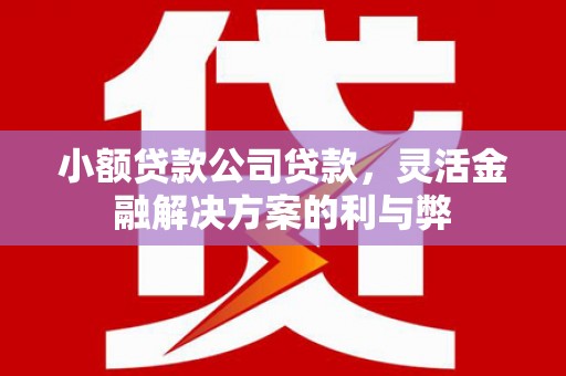阿拉善左旗小额贷款公司贷款，灵活金融解决方案的利与弊