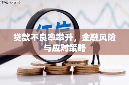 阿拉善左旗贷款不良率攀升，金融风险与应对策略