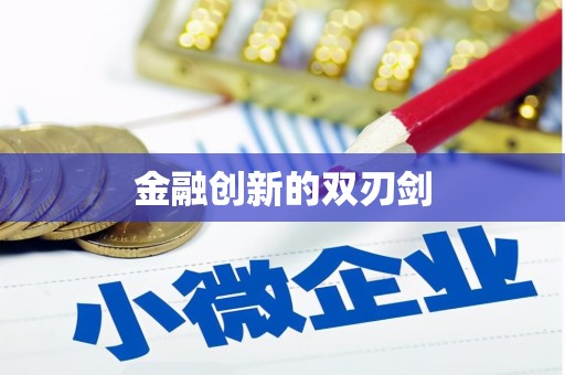 阿拉善左旗金融创新的双刃剑