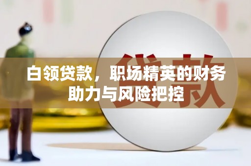 阿拉善左旗白领贷款，职场精英的财务助力与风险把控