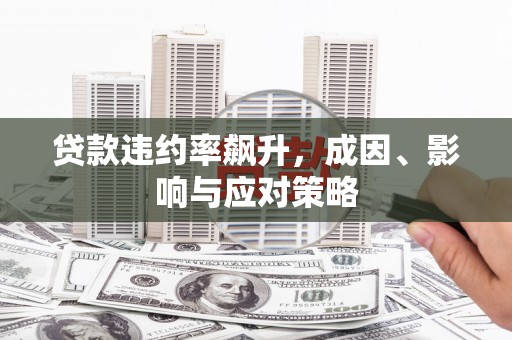阿拉善左旗贷款违约率飙升，成因、影响与应对策略