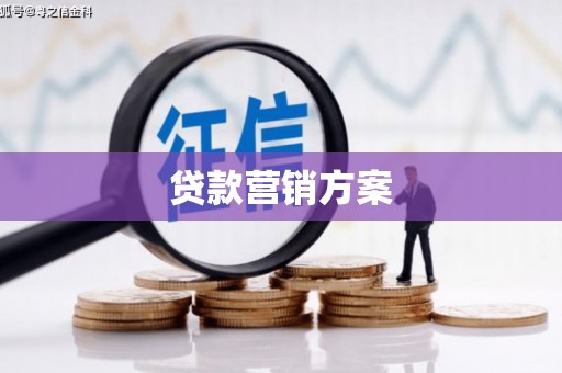 阿拉善左旗贷款营销方案